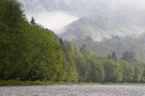 Rzeka San, mgły poranne, Bieszczady