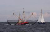 krewetkowiec i jacht s/y Griend koło wyspy Schiermonnikoog, Wyspy Fryzyjskie, Waddenzee, Holandia, Morze Wattowe