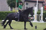 koń fryzyjski w czasie zawodów konnych na wyspie Schiermonnikoog, Wyspy -Fryzyjskie, Waddenzee, Holandia, Morze Wattowe