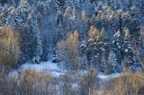 Krajobraz w pierwszych promieniach słońca, Bieszczady