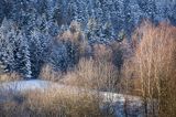 Krajobraz w pierwszych promieniach słońca, Bieszczady