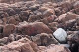 skały i kamienie, Sikhjalma, Szwecja, Zatoka Botnicka