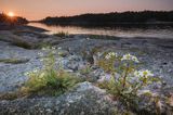 Sjalglo Udden, Archipelag Turku, Szkiery Fińskie, Finlandia