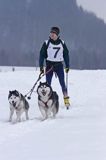 skijoring, wyścigi psich zaprzęgów, Kager Cup, W krainie wilka, Lutowiska, Bieszczady