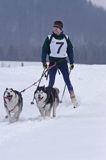 skijoring, wyścigi psich zaprzęgów, Kager Cup, W krainie wilka, Lutowiska, Bieszczady