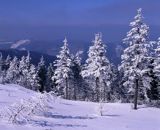 na Skrzycznem Beskid Śląski