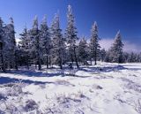 na Skrzycznem Beskid Śląski