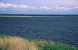 Słowiński Park narodowy, Jezioro Łebsko, trzcinowisko