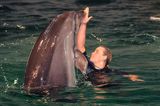 popisy delfinów w delfinarium w Smiltyne na Mierzei Kurońskiej, Neringa, Litwa Dolphin, Smiltyne, Curonian Spit, Neringa, Lithuania