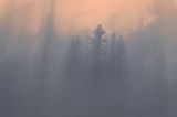 smugi mgły i światła nad lasem, Bieszczady