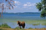 jezioro Śniardwy Mazury