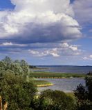 Jezioro Śniardwy, Mazurski Park Krajobrazowy