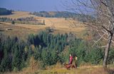 Śnieżnicki Park Krajobrazowy, Przełęcz Puchaczówka