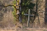 Krzyż na starym cmentarzu, Sokołowa Wola, Bieszczady