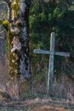 Krzyż na starym cmentarzu, Sokołowa Wola, Bieszczady