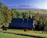 Spisz i Tatry, wieś Rzepiska