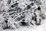 zimowy strój maskujący fotografa przyrody