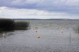 port rybacki w Sturmai, Zalew Kuroński, Litwa Sturmai harbour, Curonian Lagoon, Lithuania