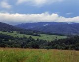 Beskid Niski Polany Surowiczne