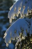 Zima, pod słońce, Bieszczady