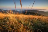 Świt na Połoninie Wetlińskiej, podczas pleneru Bieszczady dniem i nocą,26-28.09.2014