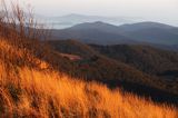 Świt, Widok z Połoniny Wetlińskiej, Bieszczady,