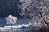 Mroźny poranek pod Jawornikami, Bieszczady