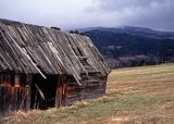 Szałas w okolicy wsi Łętowe, Beskid Wyspowy, Polska