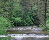 rezerwat Szumy nad Tanwią, Roztocze Środkowe