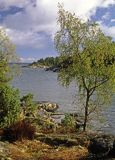 Zatoka Skutviken na wyspie Rano, szkiery szwedzkie, okolice Nynashamn, archipelag sztokholmski, Szwecja