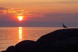 wyspa Utklippan, zachód słońca, szkiery koło Karlskrony, Blekinge, Szwecja Utklippan Island near Karlskrona, sunset, Sweden, Baltic Sea