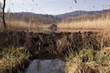 tama bobrowa i żeremie na Tworylnem, Bieszczady