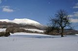 Tarnica Bieszczady