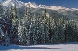 Widok z Polany Zgorzelisko, Tatry, Polska