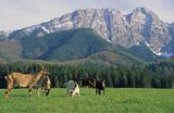 Giewont, widok z Zakopanego