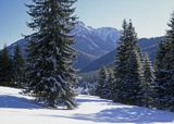 Tatry, Polana Chochołowska i Kominiarska