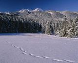 Tatry Brzanówka