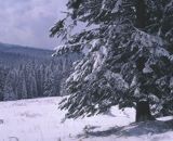 Tatry Brzanówka