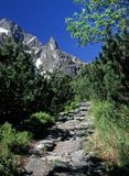 Tatry widok na Mnicha ze szlaku na Szpiglasową