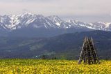 Spisz i Tatry, Rzepiska, mlecze