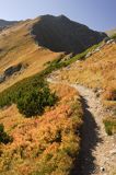 Tatry Siwa Przełęcz i Siwe Turnie w Ornaku