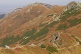Tatry Ornak