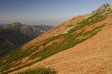 Tatry stok Ornaku