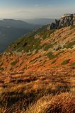 Tatry borówczyska na stoku Ornaku
