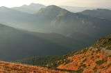 Tatry Zachodnie i borówczyska na stoku Ornaku
