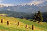 Tatry i Podhale, panorama z Gliczarowa, Nowy Wierch, Murań, Jagnięcy Szczyt, Kieżmarski Szczyt, Kołowy Szczyt, Łomnica, Durny Szcyt, Baranie Rogi, Śnieżny Szczyt, Lodowy Szczyt, Kopa Lodowa, Ostry Szczyt, kopki siana