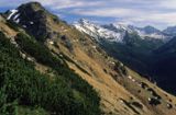 Tatry Suche Czuby, w dali Świnica