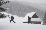 przy szałasie na Rusinowej Polanie, Tatry