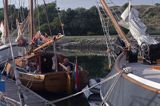 barki holenderskie w porcie jachtowym w West Terschelling, Wyspy Fryzyjskie, Holandia, Waddensee