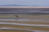 pieszo po morzu w czasie odpływu, wyspa Terschelling, Wyspy Fryzyjskie, Holandia, Waddensee